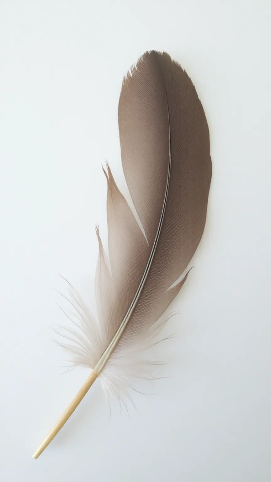 How creativity helps regulate your nervous system.